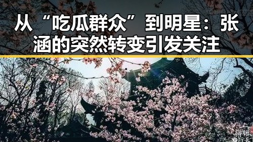 从“吃瓜群众”到明星：张涵的突然转变引发关注
