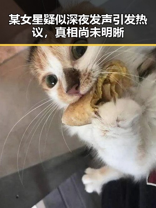 某女星疑似深夜发声引发热议,真相尚未明晰